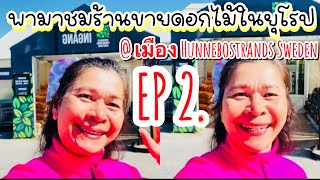 Ep2 พามาชมร้านขายดอกไม้ในยุโรป  รวมมิตรต้นไม้ ดอกไม้  ต้อนรับฤดูร้อนที่  Hunnebostrands Sweden [upl. by Depoliti953]