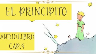 EL PRINCIPITO Cap 9 AUDIOLIBRO [upl. by Carvey490]