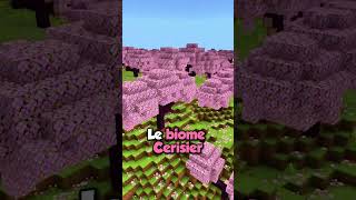 99 ne connaissent pas ce BIOME sur MINECRAFT  😵 [upl. by Amehr]