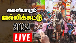 🔴Jallikattu Live 2024  Avaniyapuram  அவனியாபுரம் ஜல்லிக்கட்டு நேரலை [upl. by Einittirb]