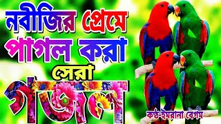 প্রিয় নবীজির শানে সেরা ১২টি গজল। N Gojol Tv বাংলা গজল। Notun Gojol। New Ghazal 2024 [upl. by Manuela]