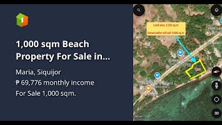 1000 sqm Beach Property For Sale in Maria Siquijor [upl. by Sliwa490]