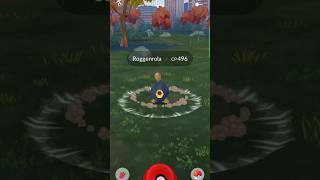 Pokémongo Roggenrola catch pokemongo​ pokemongoshorts​ pokémongo​ pokemongotipsandtricks [upl. by Brathwaite]