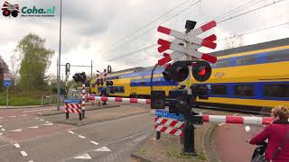 Spoorwegovergang 😍4k😍 Helvoirtseweg Vught  Dutch levelcrossing [upl. by Ahtelra]