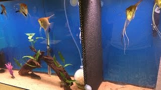 Diy Aquarium Divider [upl. by Lednik]