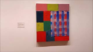 The Philadelphia Museum of Art featuring Sean Scully [upl. by Wahl338]