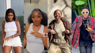 Pikkewyne Remix TikTok Dance Challenge [upl. by Elsi]