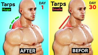 8 BEST EXERCISE TRAPS WORKOUT 🔥 [upl. by Anallij93]