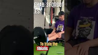 calvas tibialis muscle exercises jeet selal shorts fitness [upl. by Kenta]