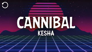 Kesha  Cannibal Lyrics [upl. by Revned]