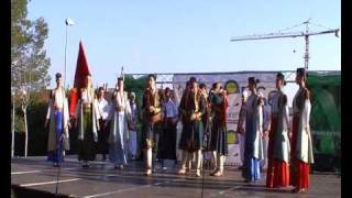 Montenegrin traditional folk dance Crna Gora [upl. by Akerahs]