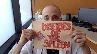 Surgical Spleen Pt 1 Spleen Tumor What You Need to Know [upl. by Akimet527]