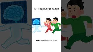 9割が知らないショート動画に関する雑学 shorts トリビア 雑学好き [upl. by Pelagias]