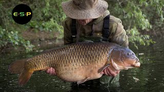 Old Gold  Terry Hearn  Iconic Carp Fishing [upl. by Nnanerak]