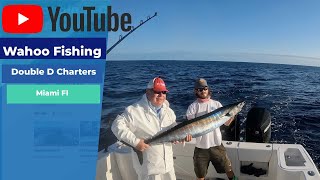 Wahoo Fishing in Bimini Jan 2022 [upl. by Aeslek]