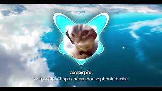 Chipi chipi Chapa chapa House phonk Remix [upl. by Hsekin]