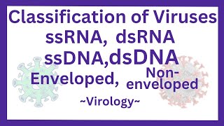 Classification of viruses ssRNAdsRNAssDNAdsDNA Envelopednonenveloped  mnemonics [upl. by Beacham651]