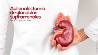 Adrenalectomía de glándulas suprarrenales por Dra Leticia Ruíz [upl. by Naleag]