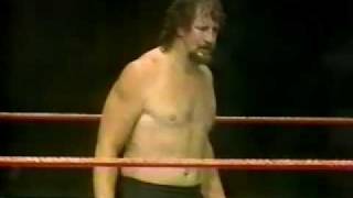 Terry Funks WWF Debut [upl. by Dorsey620]