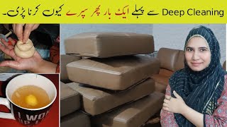 Deep Cleaning of Entire House  Fumigation Home  How does Fumigation work  Alia Mubashir Vlogs [upl. by Inaluiak]