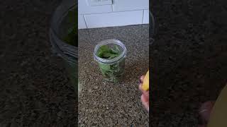 Green smoothie for breakfast Organic urban garden [upl. by Landing]