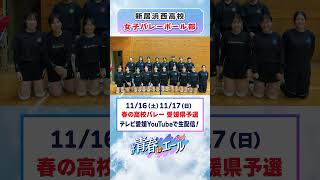 春高バレー2024県予選に向けて🏐 [upl. by Poppy]