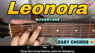 Leonora  SUGARCANE Easy Chords😍  EASY GUITAR TUTORIAL [upl. by Wyatt746]