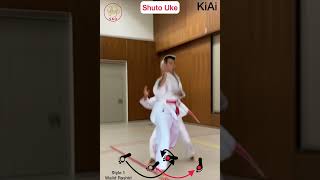 Empi amp Enpi WR SKO Karate Kata Empi Enpi Shotokan [upl. by Grega]