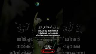 everyone followers motivation highlights quran islam islamic muslim [upl. by Monsour]