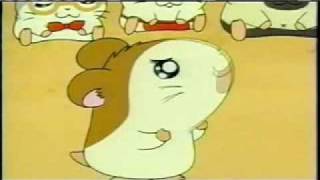 Hamtaro AMV Hands Held High [upl. by Netsyrc]