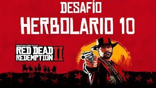 Desafío Herbolario 10  Red Dead Redemption 2 [upl. by Anastice]