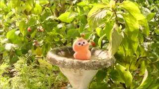 30 Minutes Long EDF Energy Advert quotDancing Zingy [upl. by Trix]