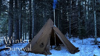 Solo Winter Hot Tent Camping in the Canadian Rockies [upl. by Nerfe]