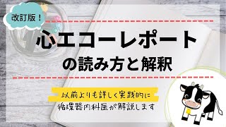 心エコーレポートの読み方循環器内科医が解説します [upl. by Lessard]