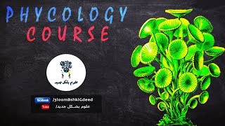 محاضرات كورس Phycology  محاضرة 5 Divisions charophyta bacillariophyta and pyrrophyta [upl. by Netsew]