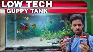 Aquascape Tutorial Guppies  Betta Aquarium  How To Step By Step Planted Tank Guide [upl. by Elleiad872]