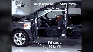 Crashversuche zur Sicherung von Hunden im Auto [upl. by Mab438]