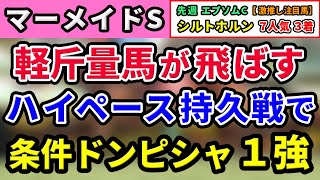 マーメイドステークス 2024【鉄板注目馬⇒複勝率100％3210】ハイペース持久戦で条件ドンピシャの１強はコレ！ [upl. by Aillicirp]