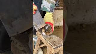 tiktok viral foryou farrier farrierlife farriersoftiktok horse hoof hoofcare satisfying [upl. by Assile]