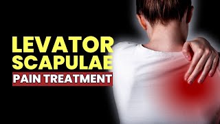 Strengthen Your Levator Scapulae Muscle  Heal Pain On The Upper Back Neck amp Shoulder  174 Hz [upl. by Newmark888]