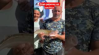 GRAN PEJERREY EN COCHICO fishing fish argentina fishingvideo amigos pesca pescaria pescador [upl. by Janot]