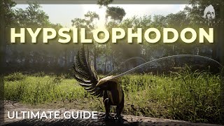 HYPSILOPHODON Ultimate Guide  The Isle Evrima [upl. by Reed]