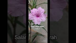 EsSalam Maal Hijrah 1446h [upl. by Tray]