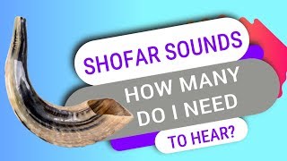 How Many Shofar Sounds Do I Need To Hear On Rosh Hashanah [upl. by Ricketts598]