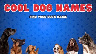 Cool Dog Names amp Meanings Find Your Pups Perfect Name [upl. by Ias]