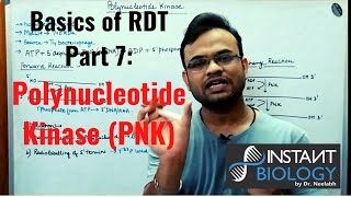 Basics of RDT Part 7 Polynucleotide Kinase PNK [upl. by Hanleigh]