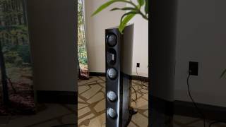 Børresen speakers doing their thing at the HiFi show Always fun to drop in for a listen [upl. by Abey428]