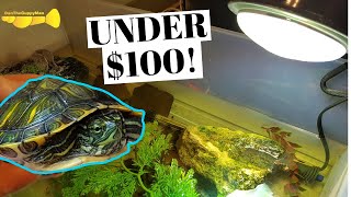 DIY BABY TURTLE SETUP [upl. by Alverta679]