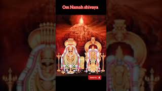 🙏Shiva Shiva 🙏 Lord Shiva  Annamalaiyar Songs SPB Songs  WhatsApp status Om Namah shivaya Lord [upl. by Maressa49]