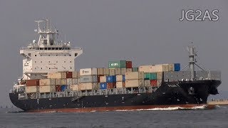 Shipspotting Japan  MV FILIA T コンテナ船 Container ship 新造船大阪港 初寄港 2019MAR [upl. by Senhauser]